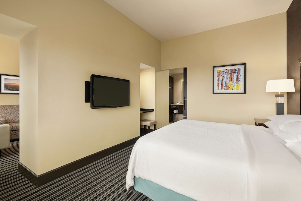 Embassy Suites by Hilton Salt Lake West Valley City - photo 35
