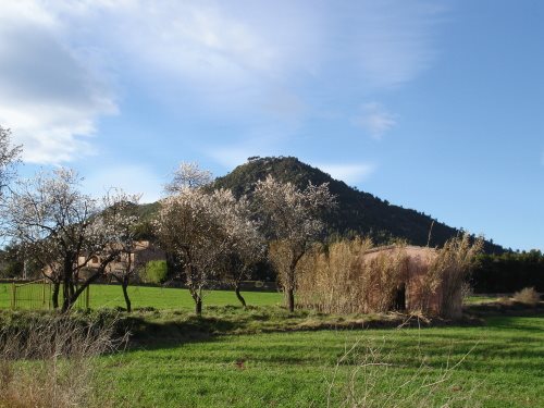Hotel 1948 Manresa — Manresa — photo 4