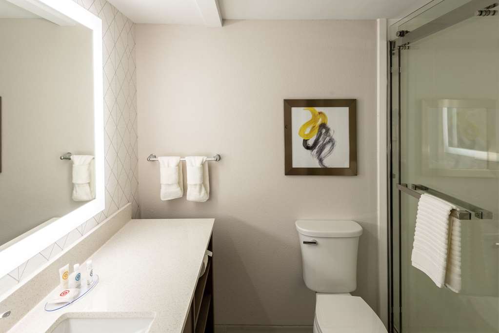 Comfort Inn & Suites Fishers Indianapolis - photo 24