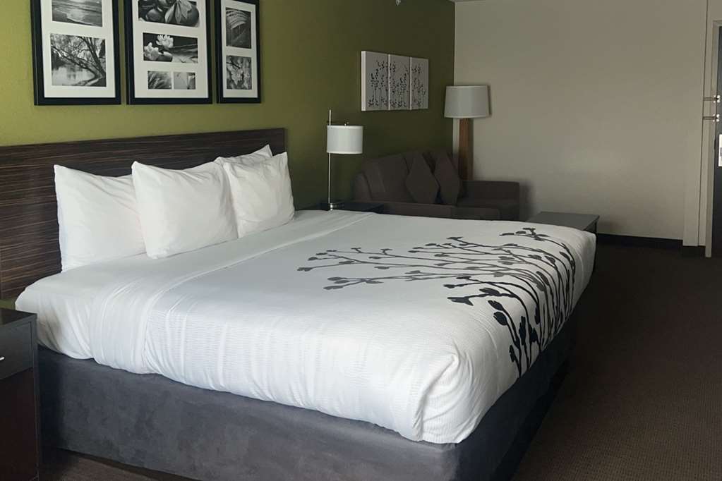 Sleep Inn & Suites Jourdanton Pleasanton - photo 24