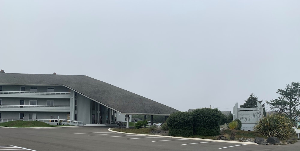 The Grey Gull - featured photo