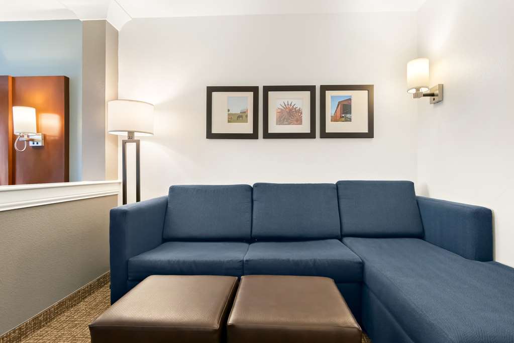 Comfort Suites Rensselaer near Fair Oaks - photo 23