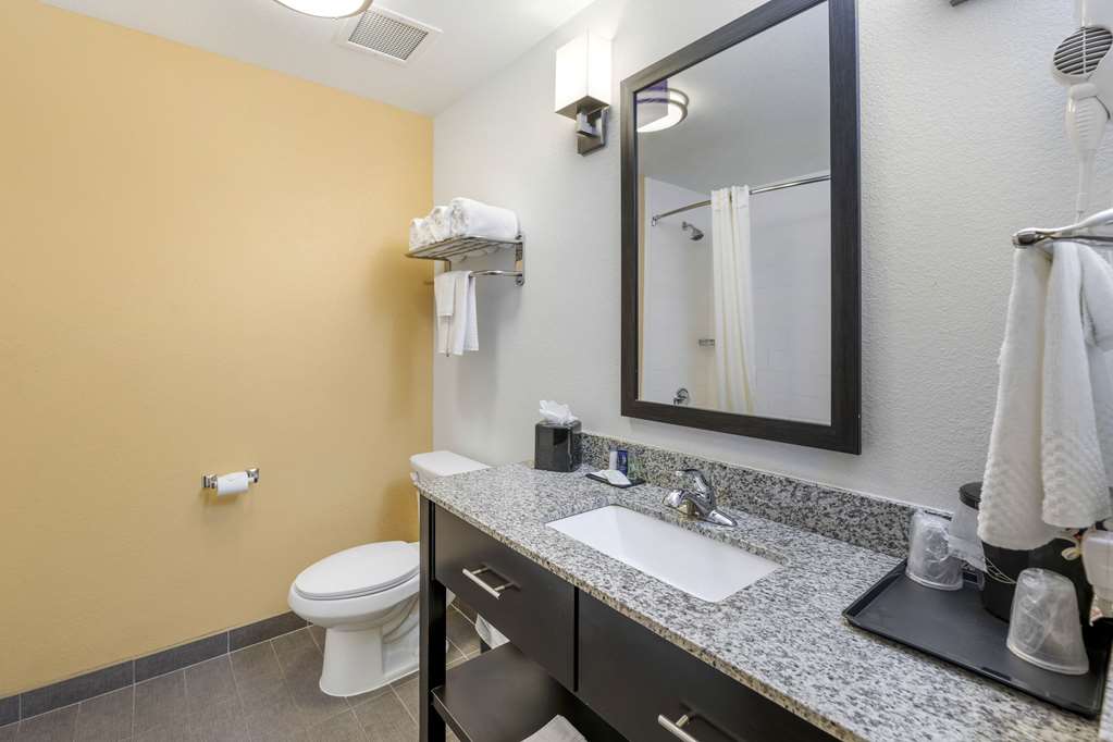 Sleep Inn & Suites Carlsbad Caverns Area - photo 16
