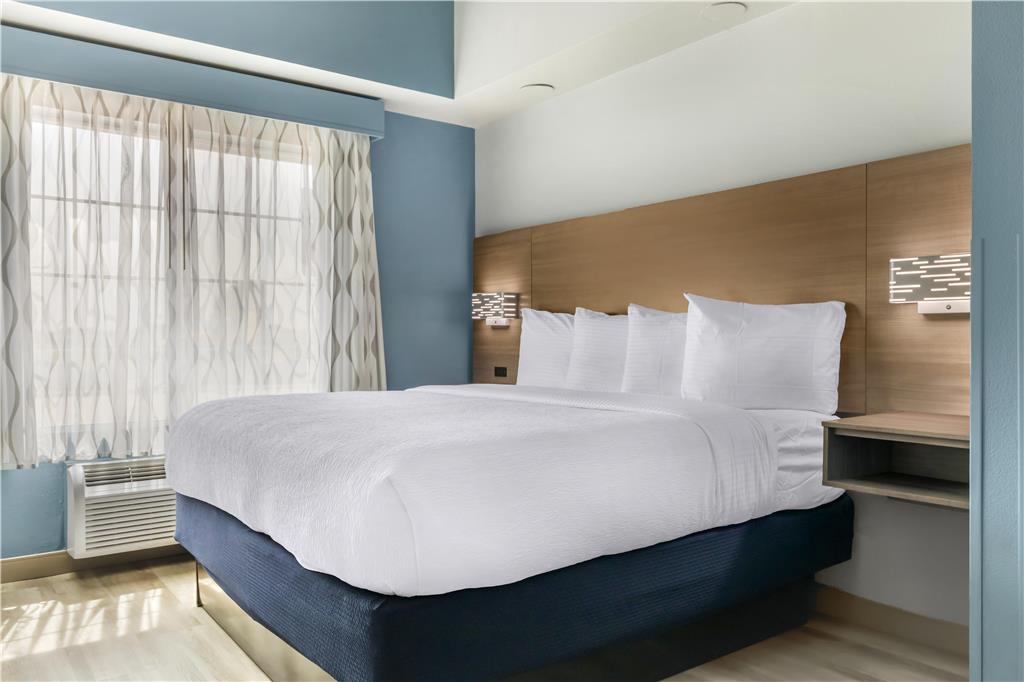 Best Western Plus Fort Worth Forest Hill Inn & Suites - photo 45