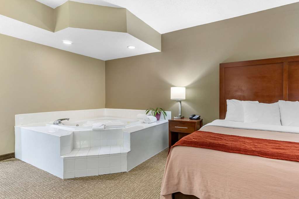 Comfort Inn Blythewood North Columbia - photo 21