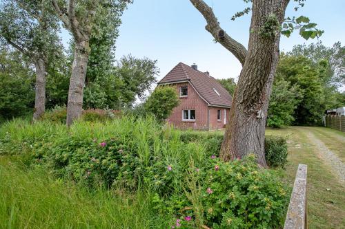 Ferienhaus Joshy - carbon neutral hotel in Unknown City