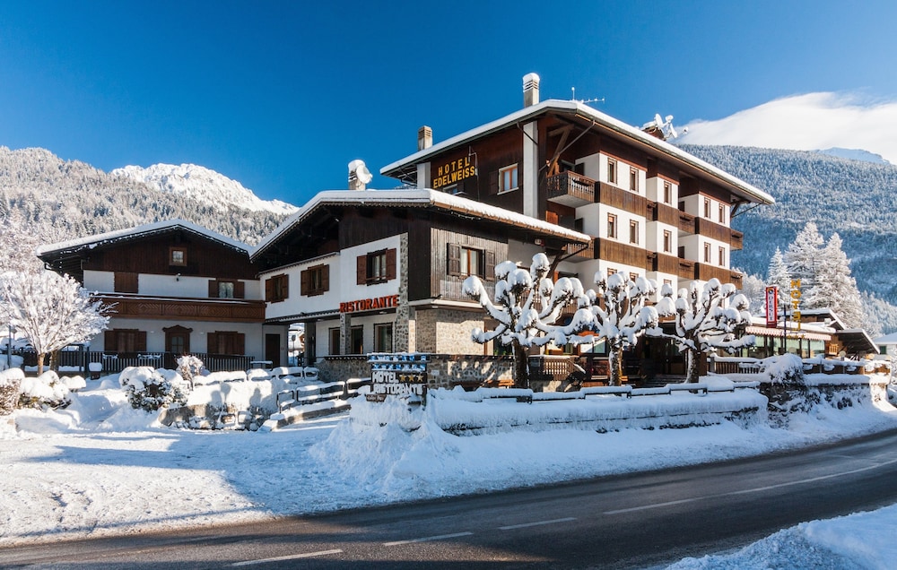 Hotel Edelweiss — hotel in Forni Di Sopra