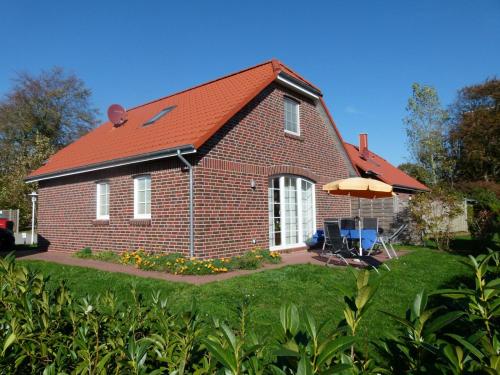 Blaue Möwe — Norden — photo 2