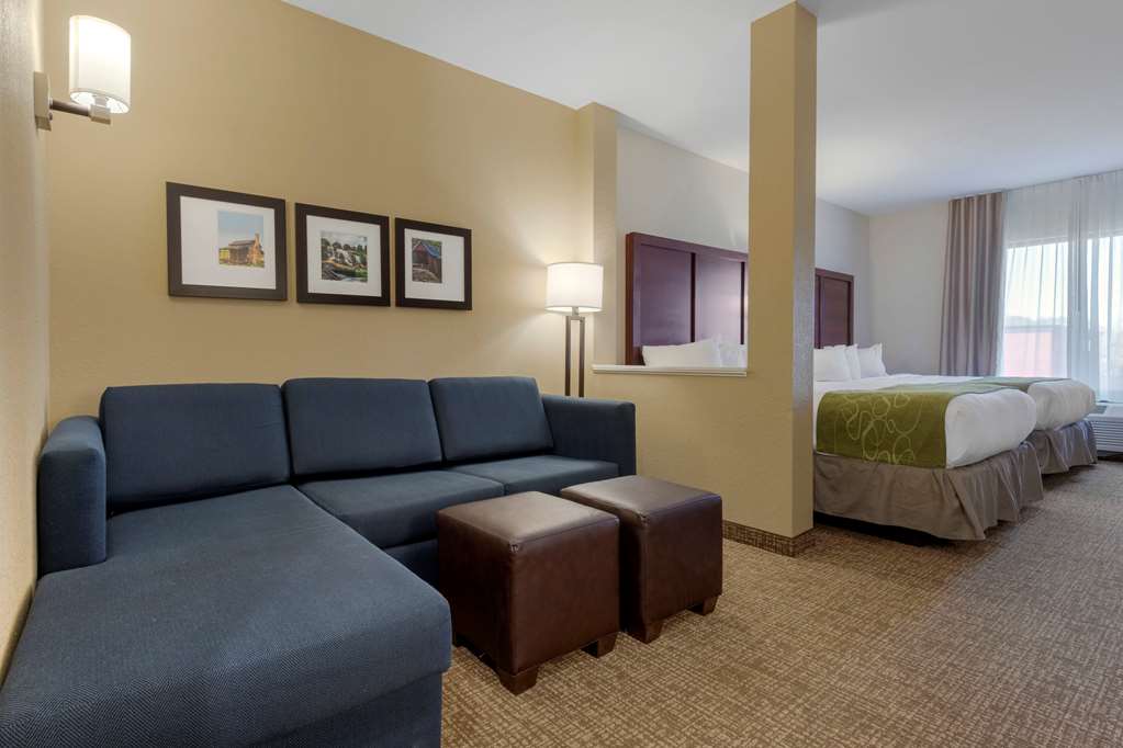 Comfort Suites Piedmont Greenville South - photo 33