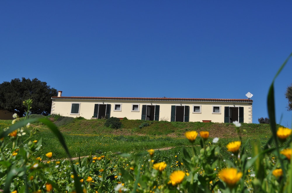 La Striscia Larga in Tempio Pausania, Italy