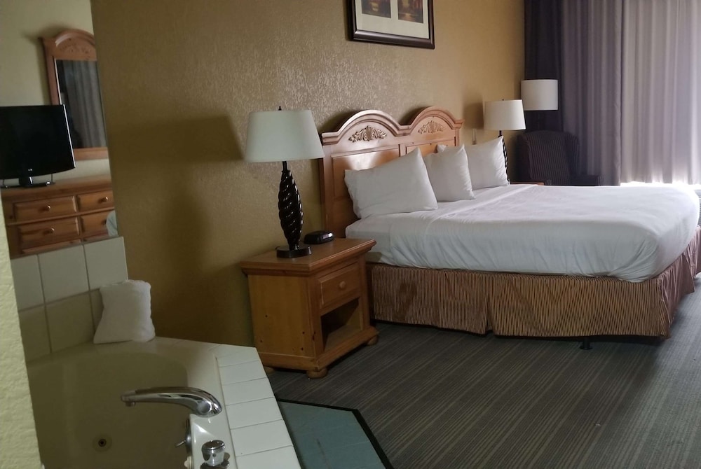 Holiday Inn Express & Suites Chicago Matteson an IHG Hotel - photo 16