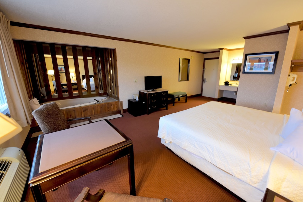 Days Inn by Wyndham Mackinaw City Lakeview - photo 9