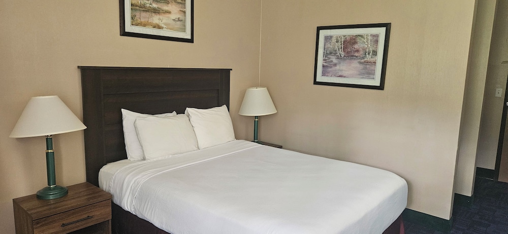 Bellis Inn - photo 17