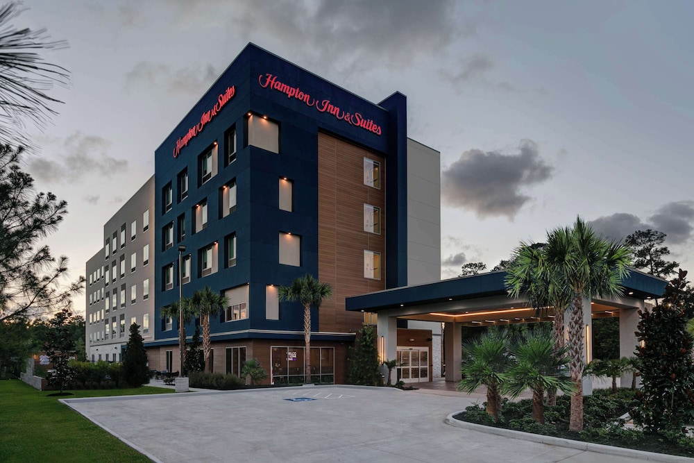 Hampton Inn & Suites by Hilton Shenandoah The Woodlands - photo 37