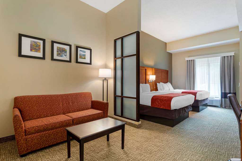 Comfort Suites Kingsport South - photo 15