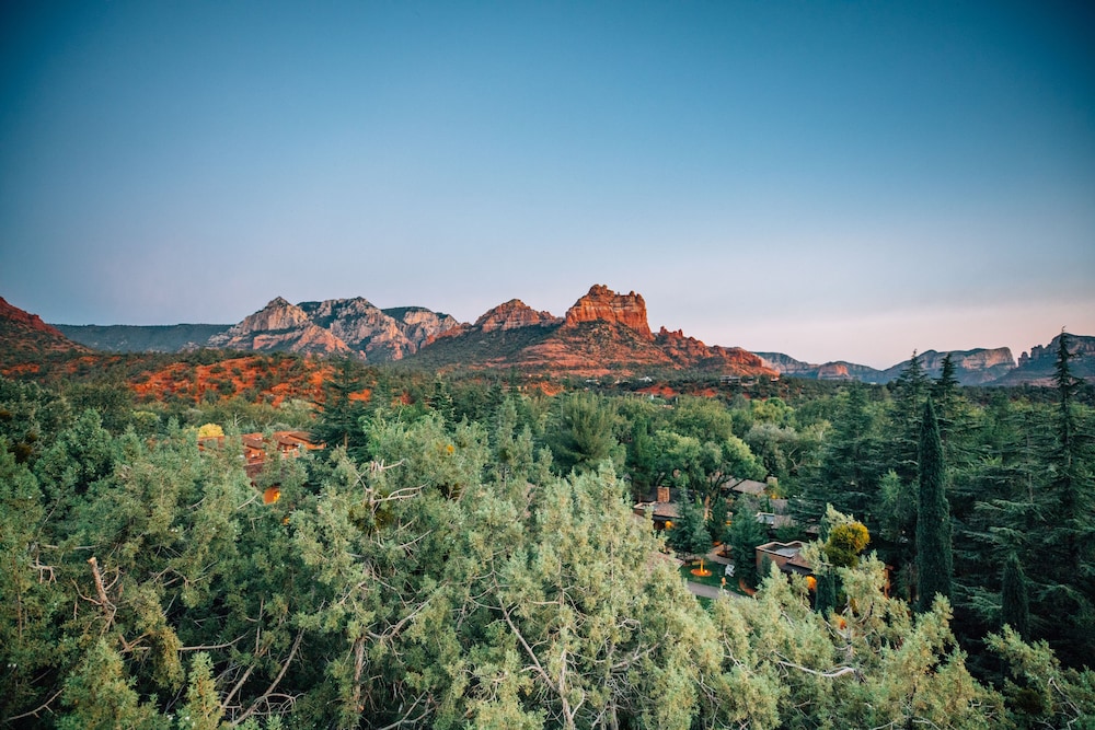 L'Auberge de Sedona - photo 210