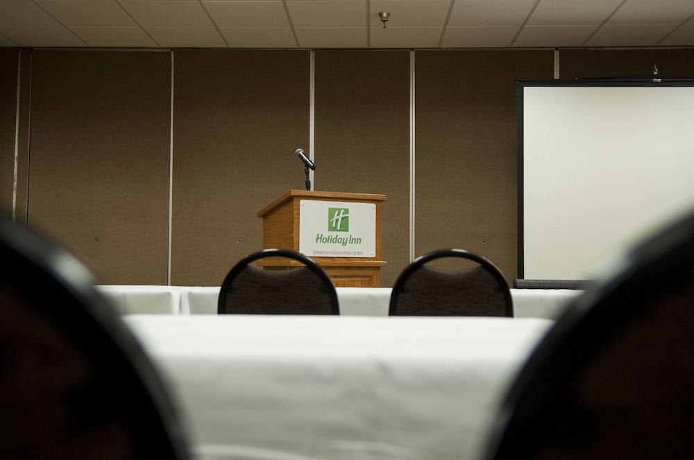 Holiday Inn Spearfish Convention Center by IHG - photo 38