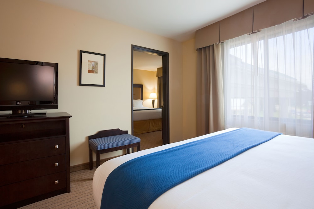 Holiday Inn Express Hotel & Suites Madison Verona an IHG Hotel - photo 4