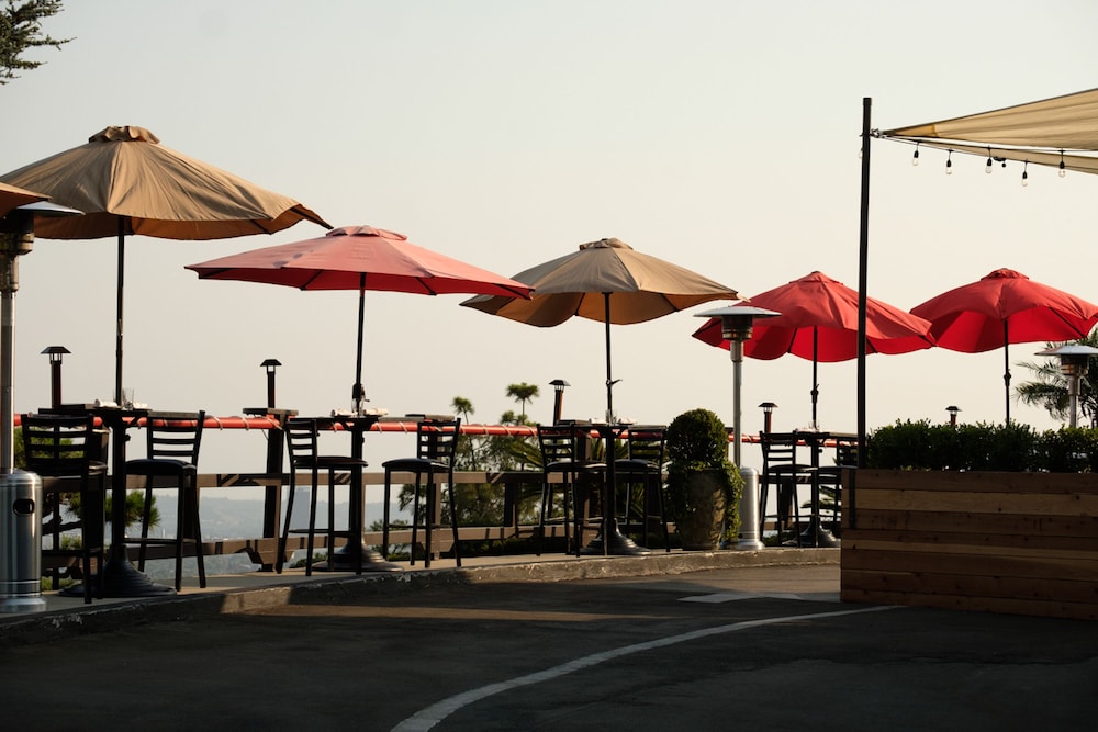 Hollywood Hills Hotel - photo 41