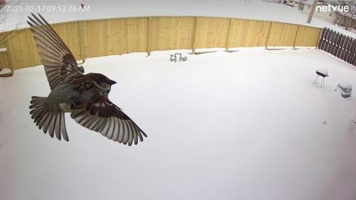 Fancy Hooch Close to Fort Sill Accepts Pets in Lawton, United States