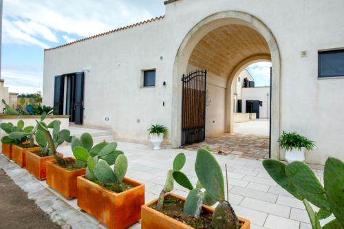 Casale Maria — Minervino Di Lecce — photo 4