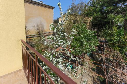 Apartment Gardens 44