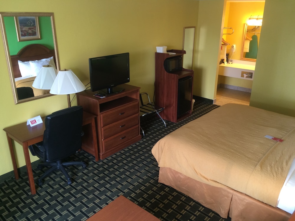 Econo Lodge Douglas - photo 8