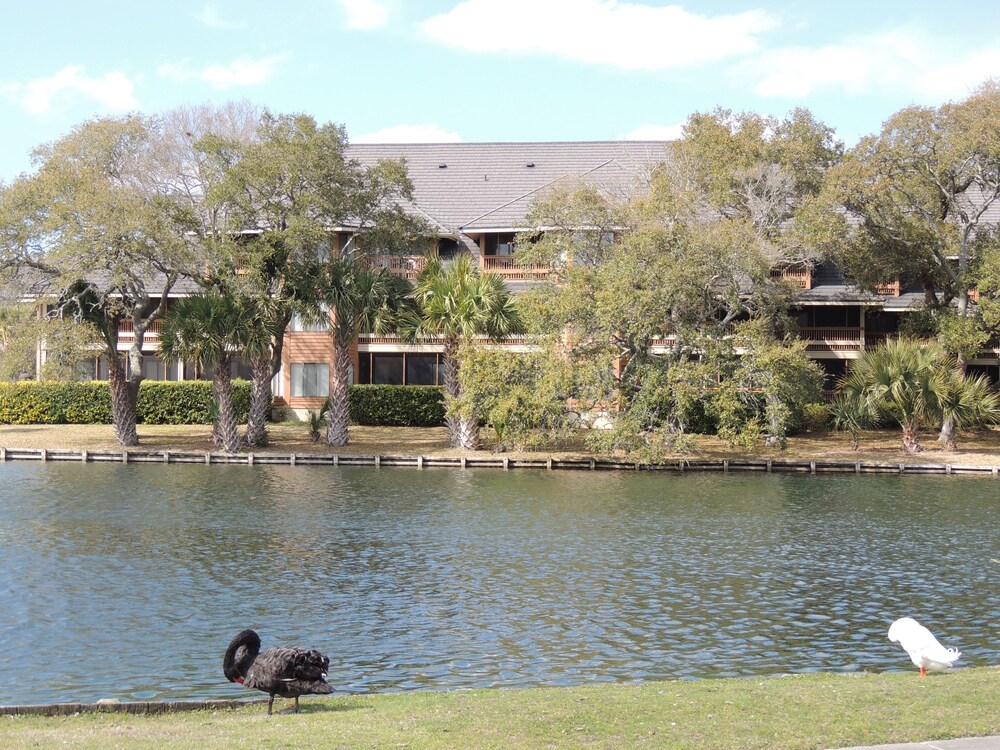 Kingston Plantation Laurel Court #112 Seaclusion Villa — 4-Star Luxury Hotel in Myrtle Beach, United States