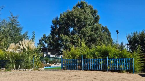 Las palmeras de Colbún in Colbun, Chile