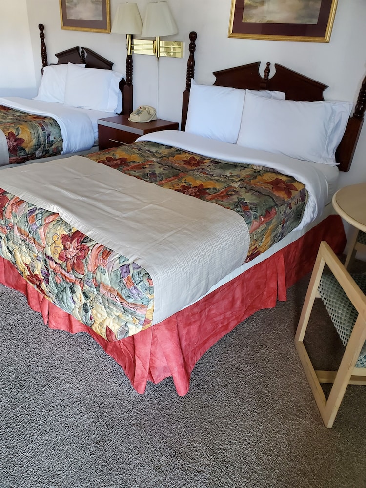 Royal Motel - photo 10