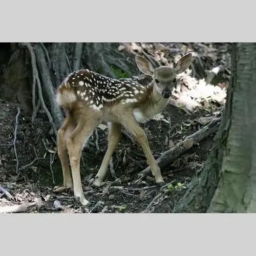 Mountain Resort Properties At Sunriver in Sunriver, United States