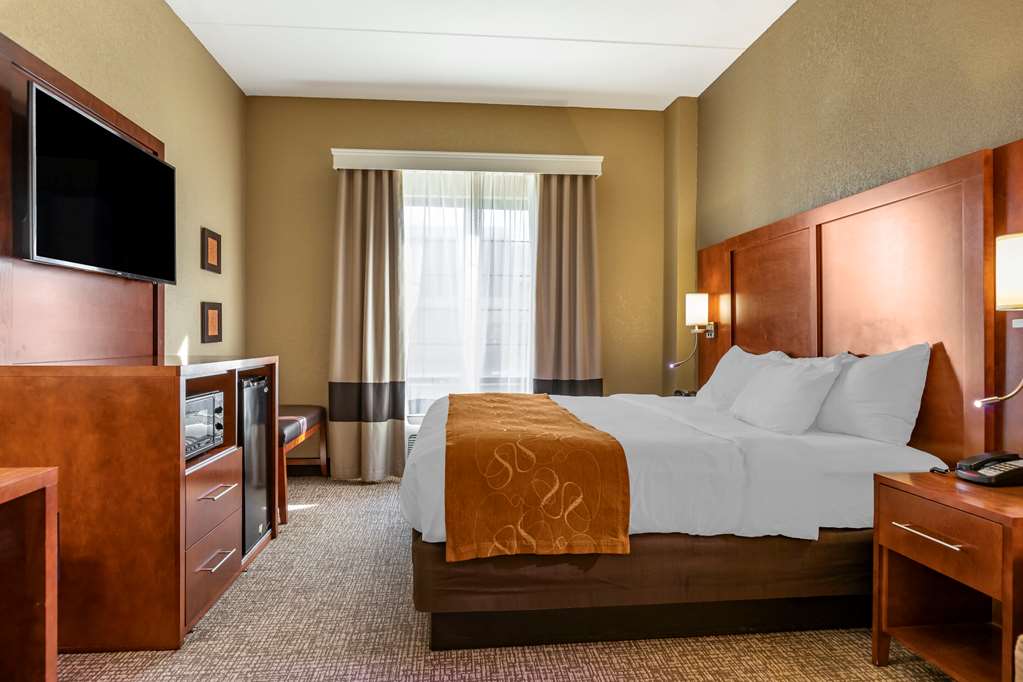 Comfort Suites Grand Rapids South - photo 7