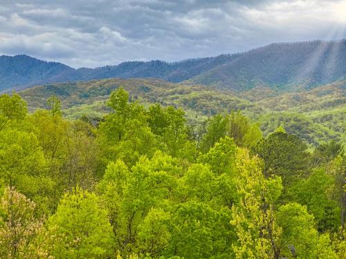Amazing Views - last minute hotel in Gatlinburg