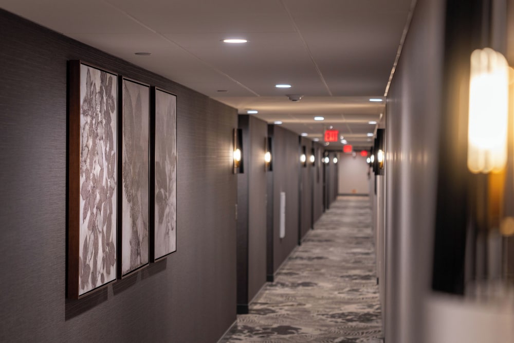 SpringHill Suites by Marriott San Luis Obispo - photo 52