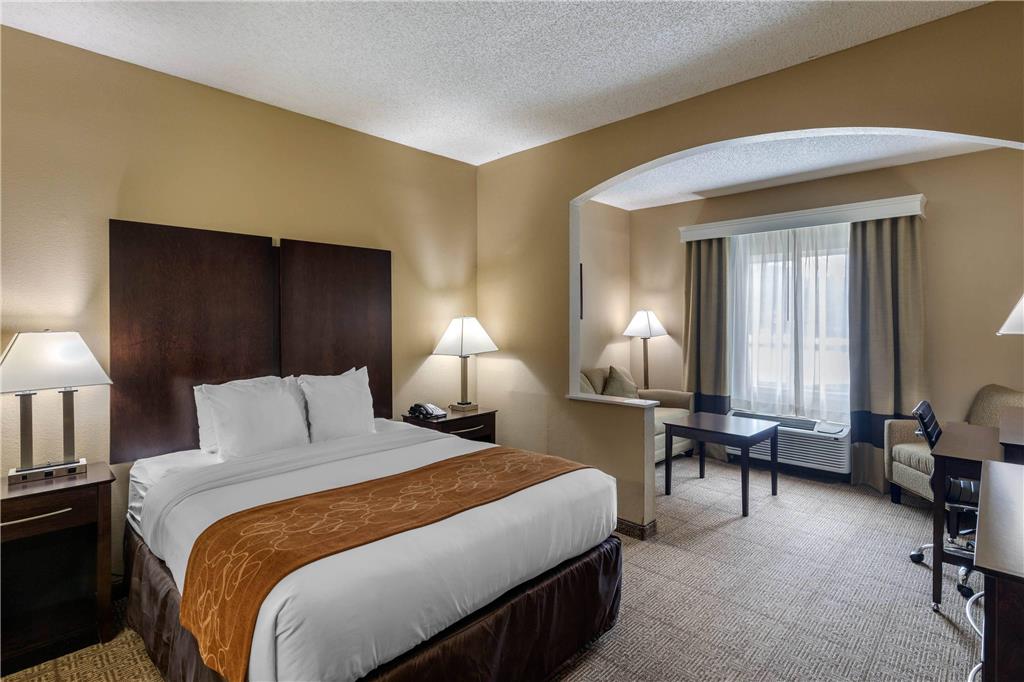 Comfort Suites The Colony Plano West - photo 10