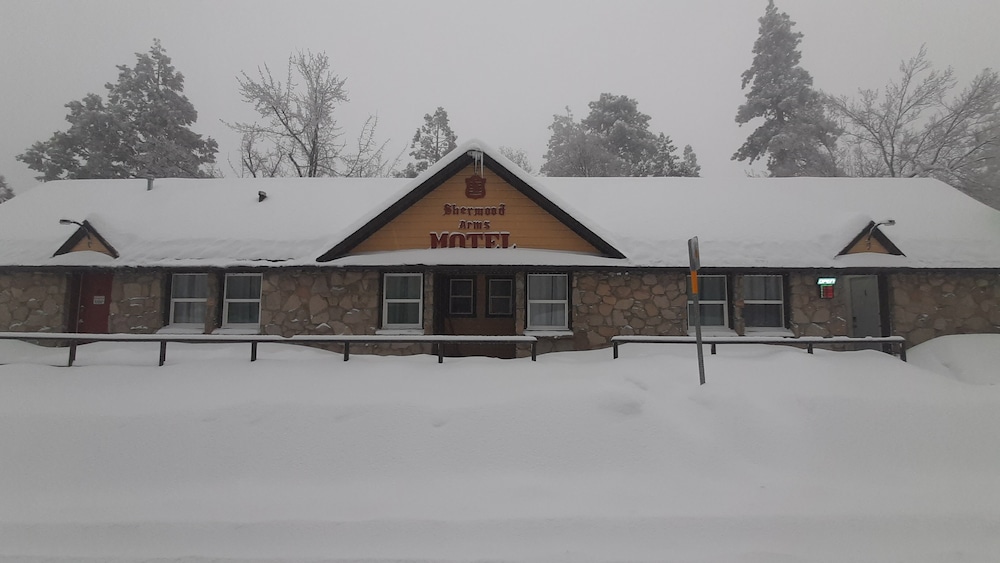 Sherwood Arms Motel - photo 58
