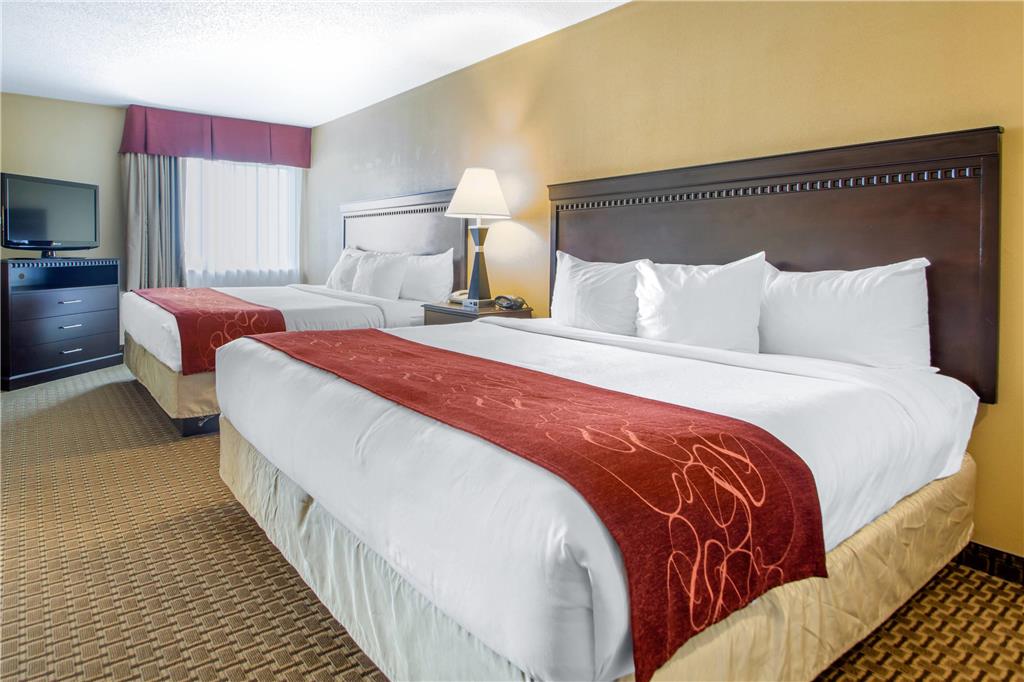 Comfort Suites Wisconsin Dells Area - photo 32