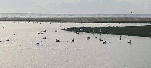 Bamboo Bay — Unknown City — photo 4