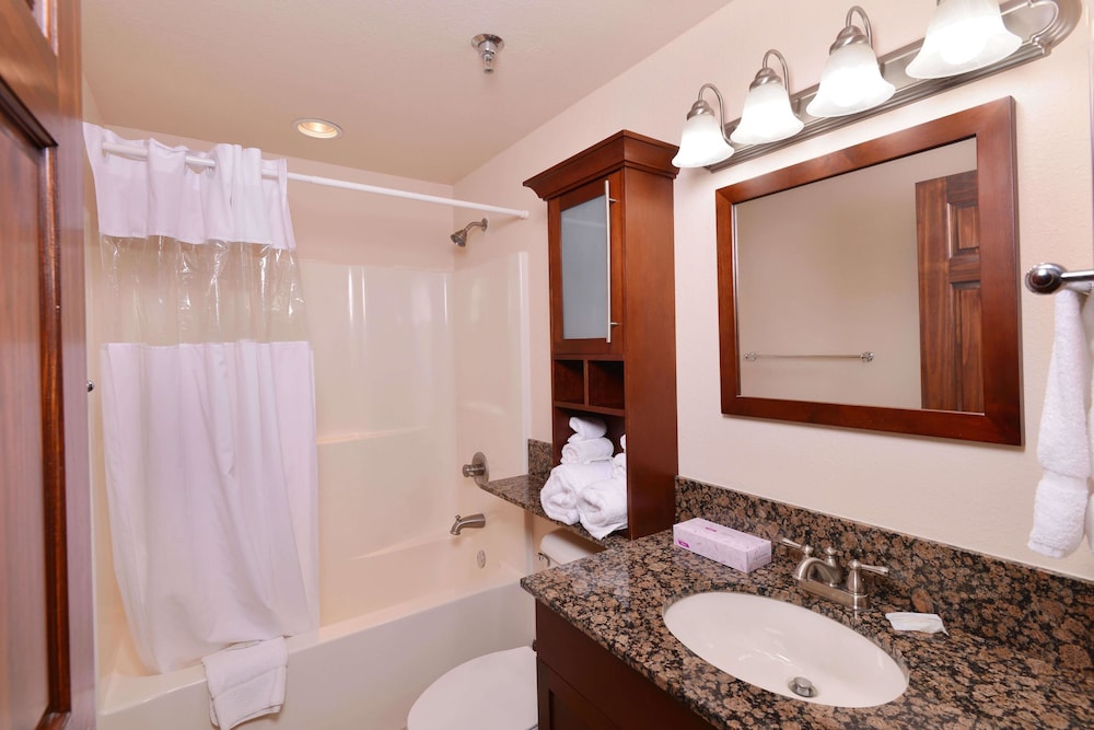 4002 Big Bear Resort - photo 19