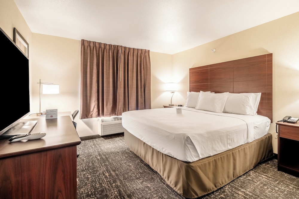 Cobblestone Inn & Suites Kermit - photo 6