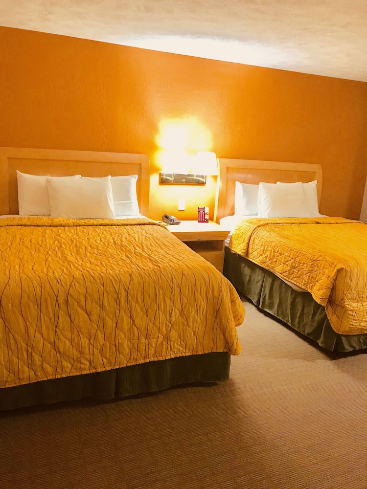 Lyons Inn - photo 9