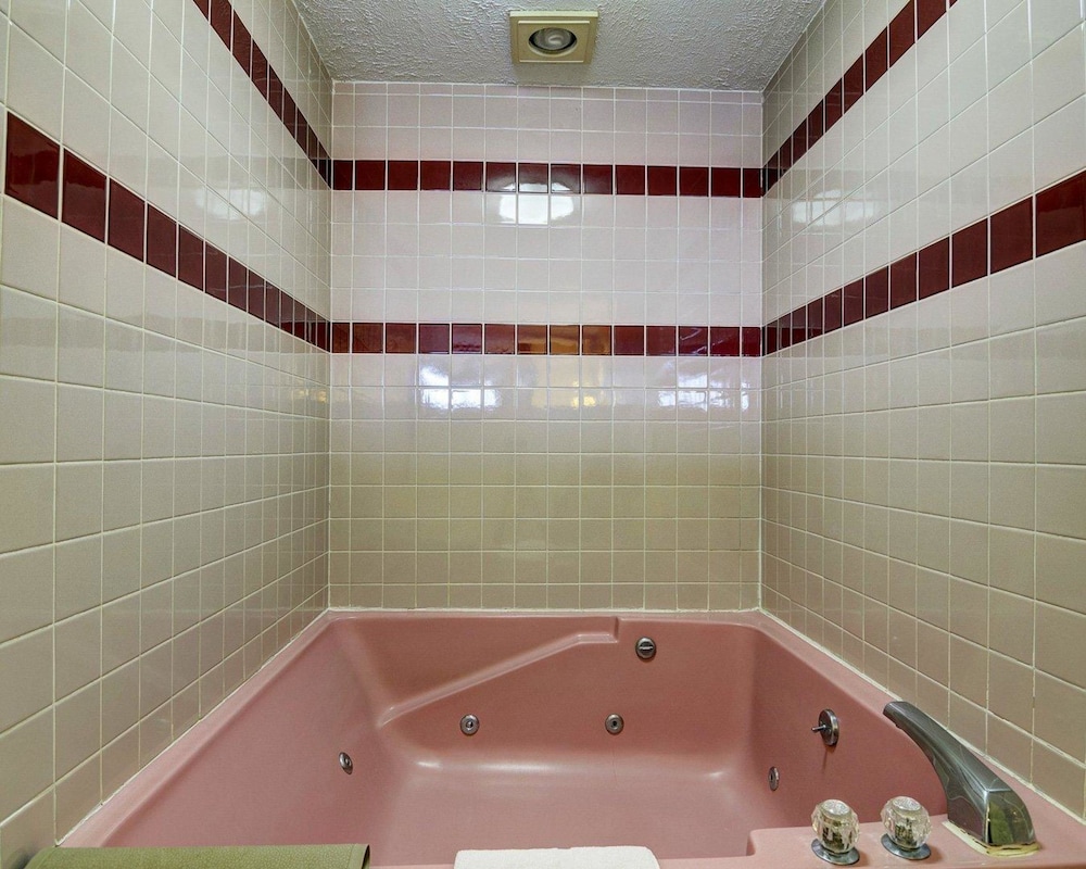 Quality Inn Conway Greenbrier - photo 62