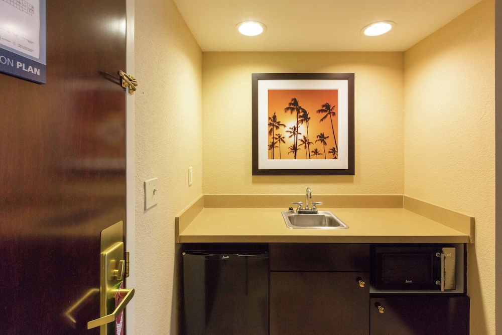 Hampton Inn Suites Jacksonville Airport - photo 29