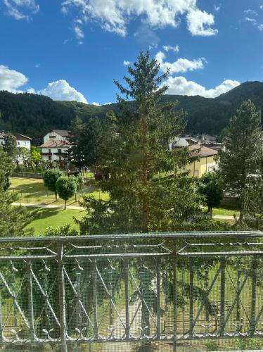 Amarena — Roccaraso — photo 2