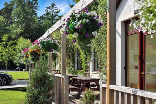 Lodges By Atholl Palace — Pitlochry