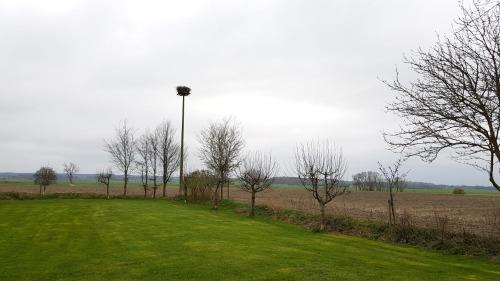 Ferienwohnung am Nord Ostsee Kanal — Breiholz — photo 4