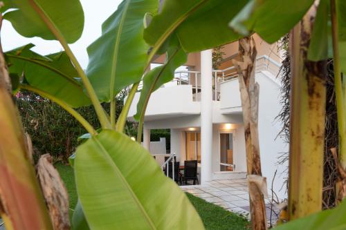 Seastone Beach Houses Pefkohori in Pefkochori, Greece