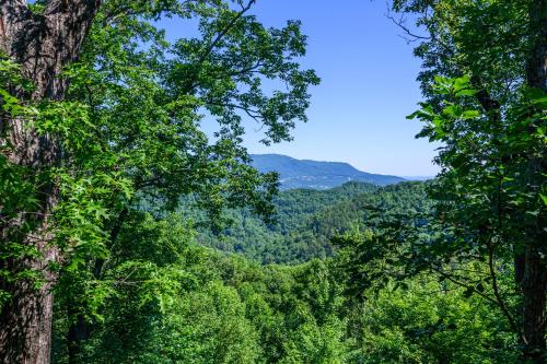 BearSlide Inn - photo 45
