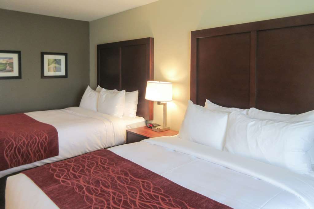 Comfort Inn & Suites Gap Amish Country - photo 10
