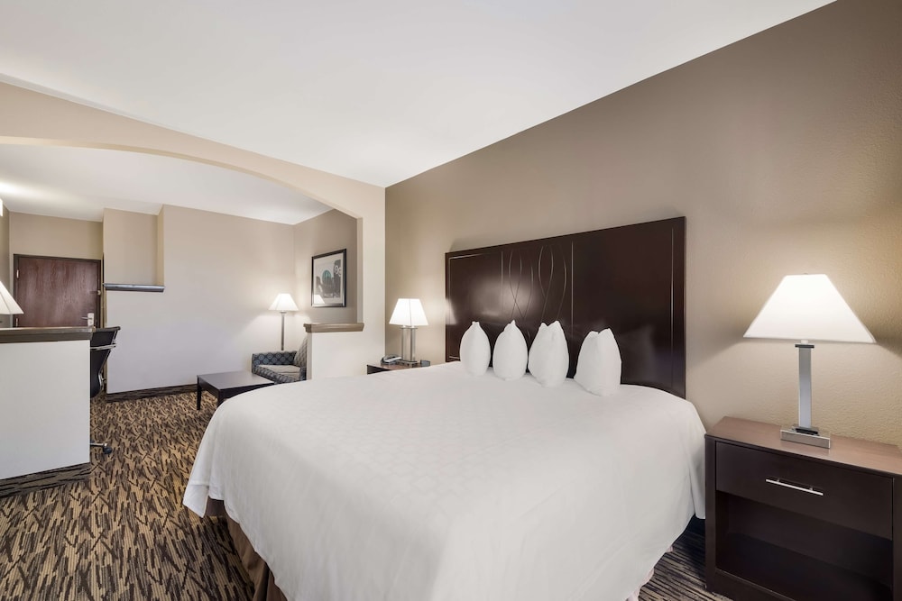 Comfort Suites Plano East Richardson - photo 31